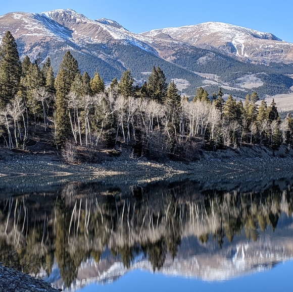 Meet your Posher, WildMtnHun - Picture 5 of 5